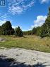 Lot 3 Twin Harbours Rd, Spring Bay, Manitoulin Island, ON 