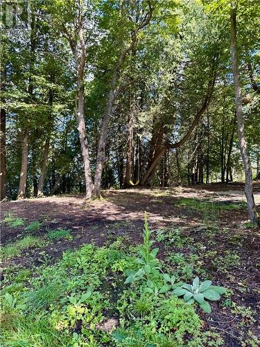 Lot 3 Twin Harbours Rd, Spring Bay, Manitoulin Island, ON 