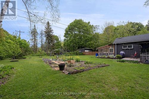 1551 Queen Street E, Caledon, ON - Outdoor