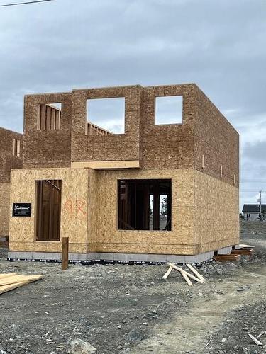 98 Trenton Drive, Paradise, NL 