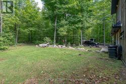 Bark yard area with forest - 