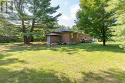 Back and side yard - 