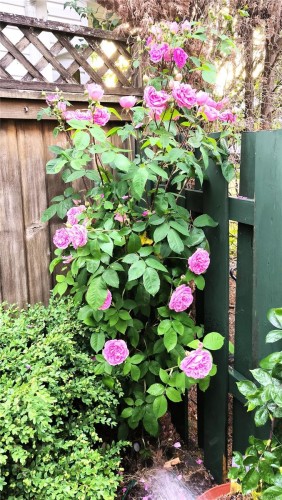 6413 Southampton Rd, Nanaimo, BC 