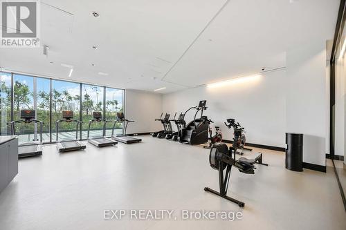 219 - 30 Tretti Way, Toronto, ON - Indoor Photo Showing Gym Room