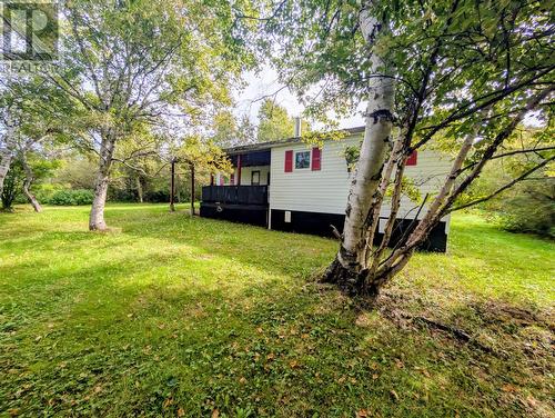 6 Richards Road, Appleton, NL - Outdoor