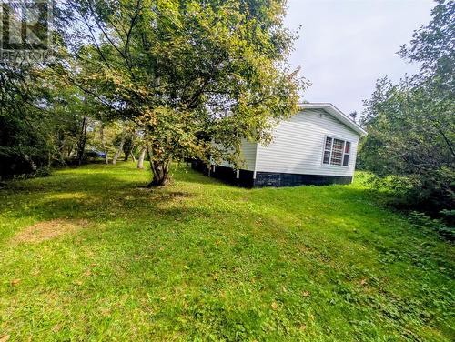 6 Richards Road, Appleton, NL - Outdoor