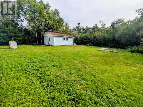6 Richards Road, Appleton, NL - Outdoor