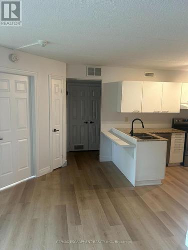 107 - 2020 Cleaver Avenue, Burlington, ON - Indoor Photo Showing Kitchen With Double Sink