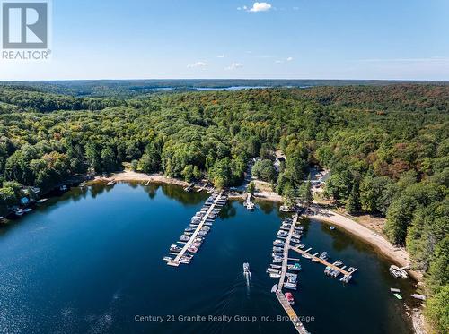 2029 Little Hawk Lake Road, Algonquin Highlands (Stanhope), ON 