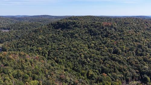 Vue d'ensemble - Ch. De La Héronnière, Grenville-Sur-La-Rouge, QC 
