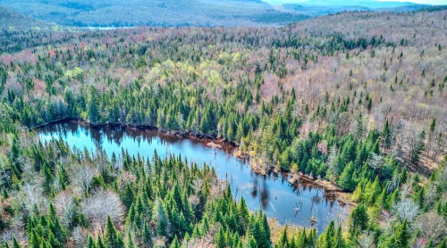 Vue sur l'eau - Ch. Des Hiboux, Mont-Blanc, QC 
