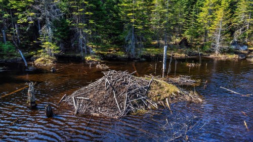 Autre - Ch. Des Hiboux, Mont-Blanc, QC 