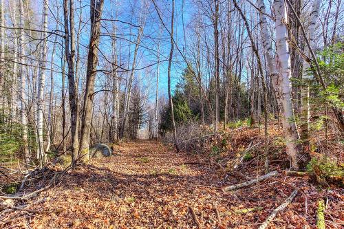 Boisé - Ch. Des Pics-Verts, Mont-Blanc, QC 
