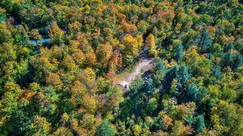 Vue d'ensemble - Ch. Des Pics-Verts, Mont-Blanc, QC 