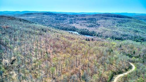 Vue d'ensemble - Ch. Des Pics-Verts, Mont-Blanc, QC 
