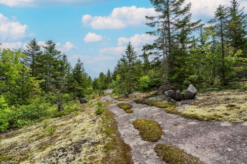 Autre - Ch. Des Pics-Verts, Mont-Blanc, QC 