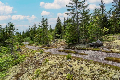 Autre - Ch. Des Pics-Verts, Mont-Blanc, QC 
