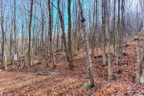 Boisé - Ch. Des Alouettes, Mont-Blanc, QC 