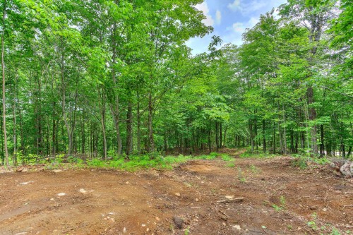 Boisé - Ch. Des Alouettes, Mont-Blanc, QC 