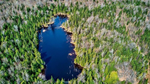 Accès au plan d'eau - Ch. Des Faucons, Mont-Blanc, QC 