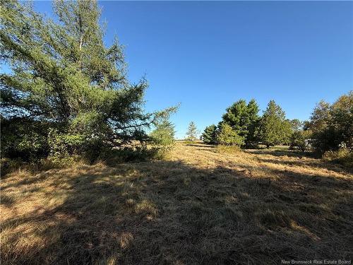 437 Saint-Joseph Rd, Saint-Joseph-De-Kent, NB 