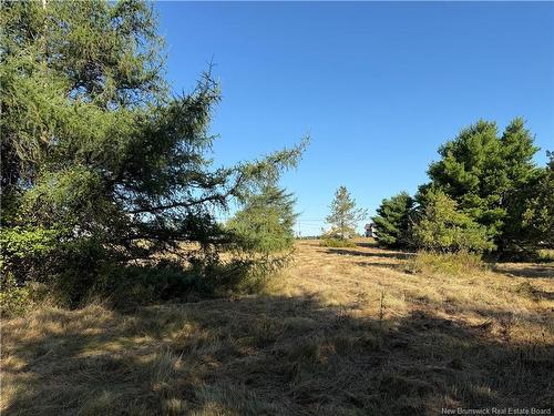 437 Saint-Joseph Rd, Saint-Joseph-De-Kent, NB 