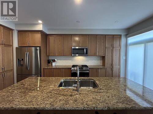 166 Nepeta Crescent, Ottawa, ON - Indoor Photo Showing Kitchen With Stainless Steel Kitchen With Double Sink With Upgraded Kitchen