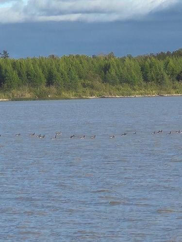 Vue sur l'eau - 340 Plage Trudel, Clerval, QC - Outdoor With Body Of Water With View