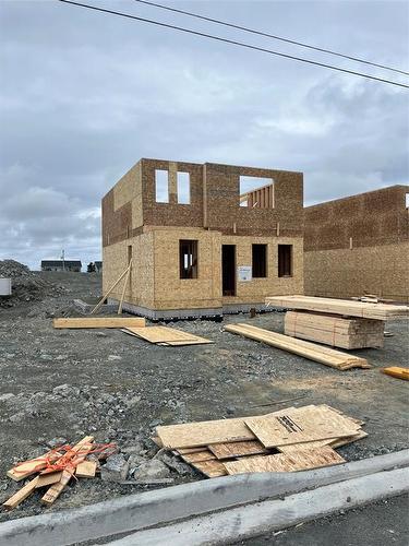 100 Trenton Drive, Paradise, NL 