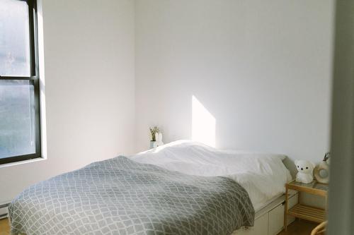 Chambre à coucher - 5121 Av. Casgrain, Montréal (Le Plateau-Mont-Royal), QC - Indoor Photo Showing Bedroom