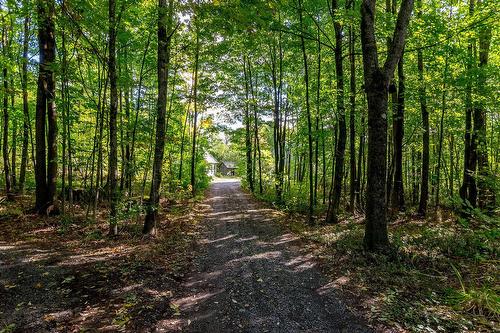 Autre - 87 Ch. Fairmount, Lac-Brome, QC - Outdoor With View