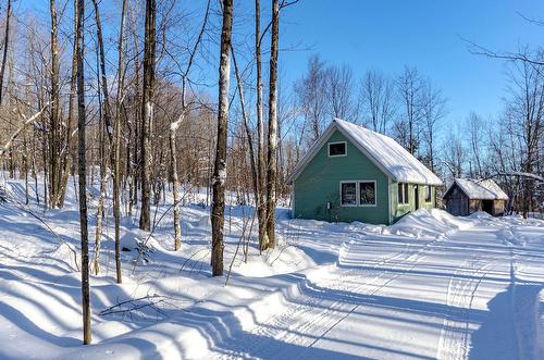 Autre - 87 Ch. Fairmount, Lac-Brome, QC - Outdoor With View