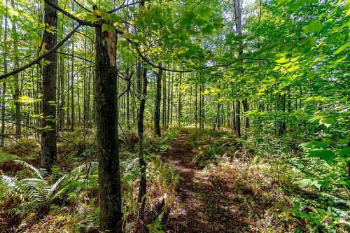 Autre - 87 Ch. Fairmount, Lac-Brome, QC - Outdoor