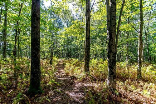 Autre - 87 Ch. Fairmount, Lac-Brome, QC - Outdoor With View