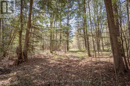 1088 Kashwakamak Lake Road, Frontenac (Frontenac North), ON 