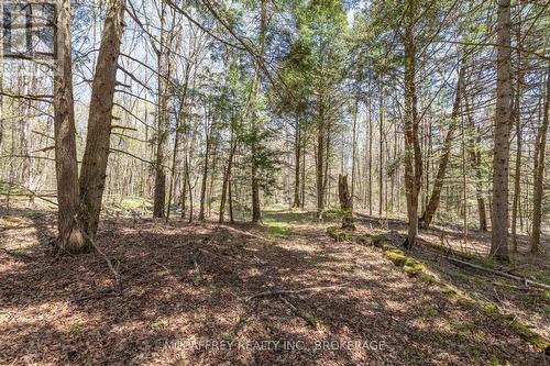 1088 Kashwakamak Lake Road, Frontenac (Frontenac North), ON 