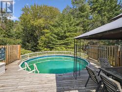 Fun pool with a Lovely Green Backdrop - 