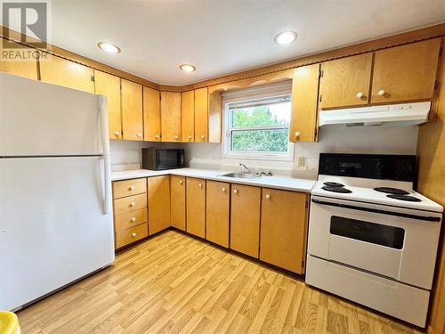 20 Pinetree Road, Traytown, NL - Indoor Photo Showing Kitchen