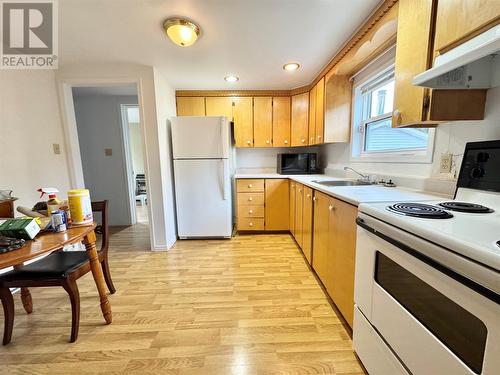 20 Pinetree Road, Traytown, NL - Indoor Photo Showing Kitchen