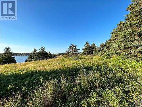 117 Cape Shore Highway, Point Verde, NL 