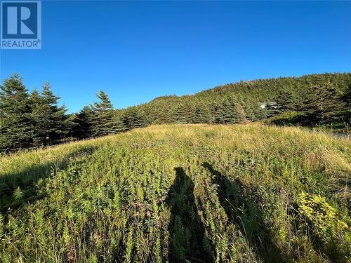 117 Cape Shore Highway, Point Verde, NL 