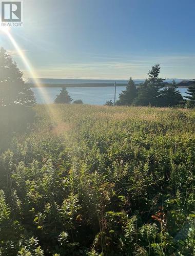 117 Cape Shore Highway, Point Verde, NL 