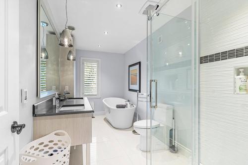 Ensuite bathroom - 388 Mtée Du Val-De-Loire, Saint-Adolphe-D'Howard, QC - Indoor Photo Showing Bathroom