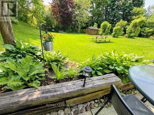 Back view of property - 4132 Chippawa Parkway, Niagara Falls (Chippawa), ON - Outdoor