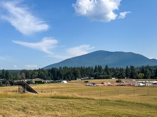 3025 9Th Street, Cranbrook, BC - Outdoor With View