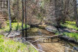 P/L35 CON 5 BULL ROAD  Alnwick/Haldimand, ON K0K 1C0