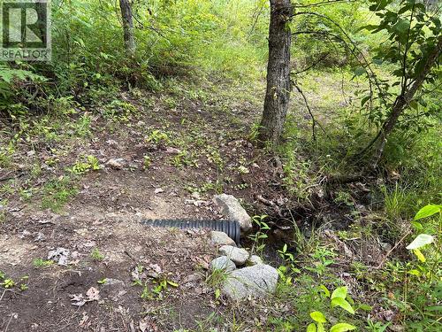 year round creek - 2715 3B Highway, Rossland, BC 