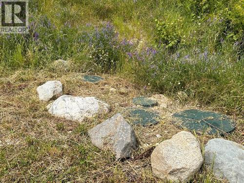 septic access - 2715 3B Highway, Rossland, BC 