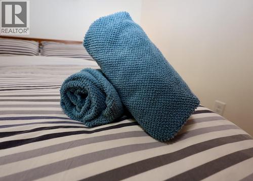 1445 Black Bear Drive, Golden, BC - 