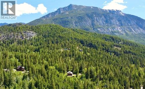 1445 Black Bear Drive, Golden, BC - Outdoor With View